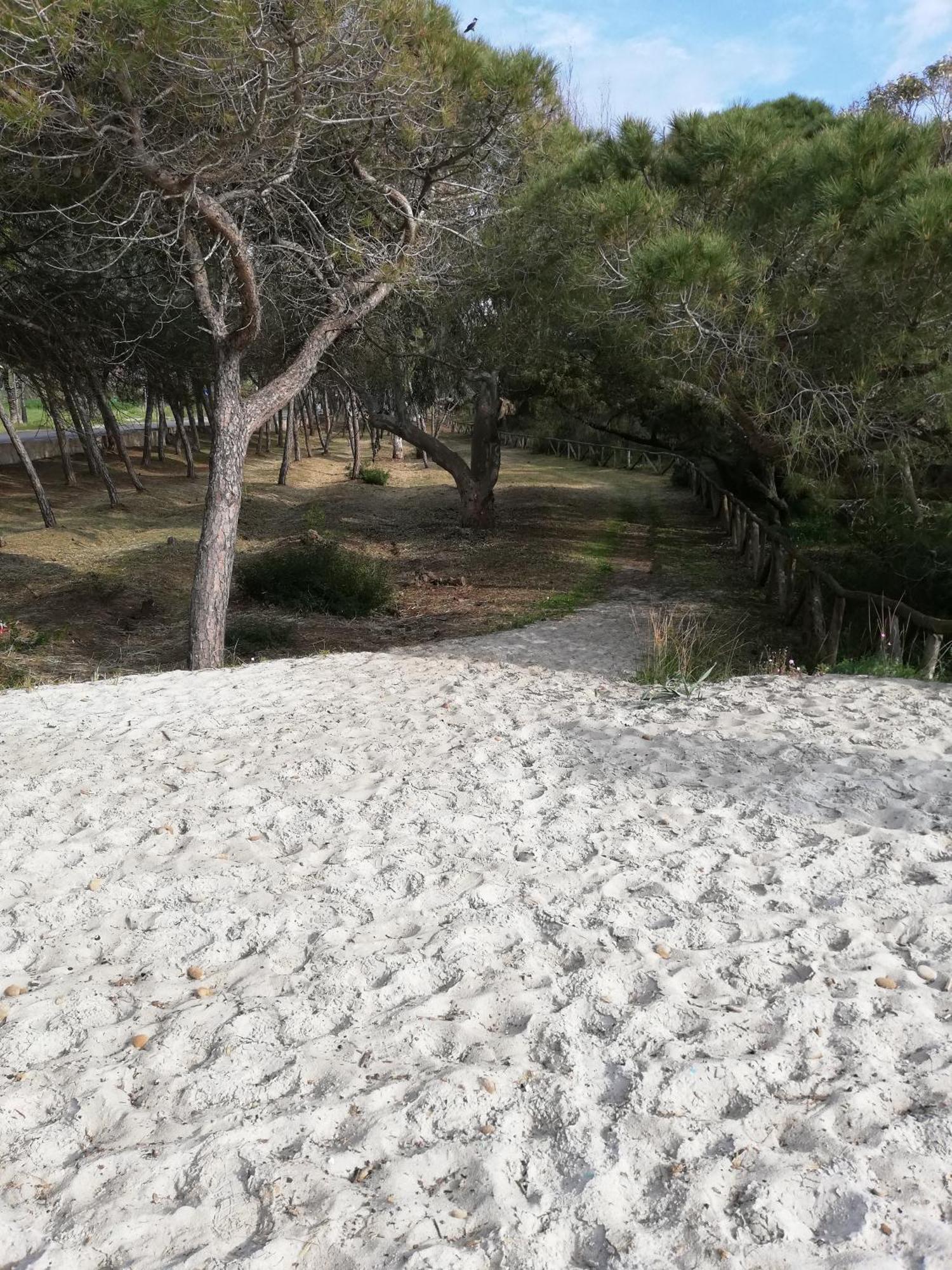 阿尔盖罗L'Anfora住宿加早餐旅馆 客房 照片
